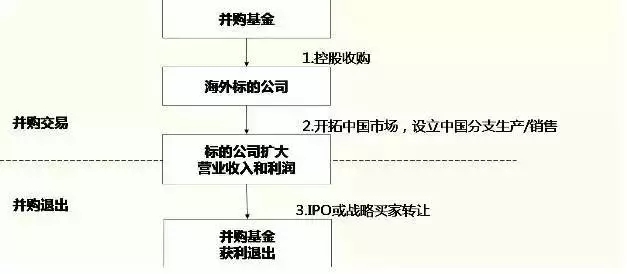 5.webp.jpg